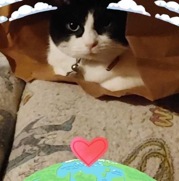 Meet your Posher, Mario - Picture 1 of 1